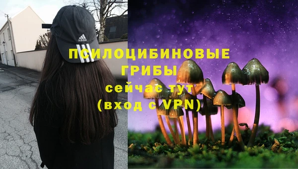 а пвп мука Козловка