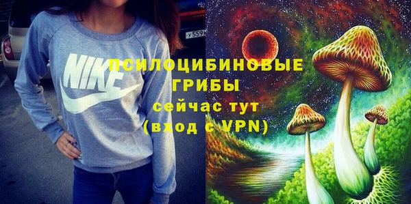 мдпв Корсаков