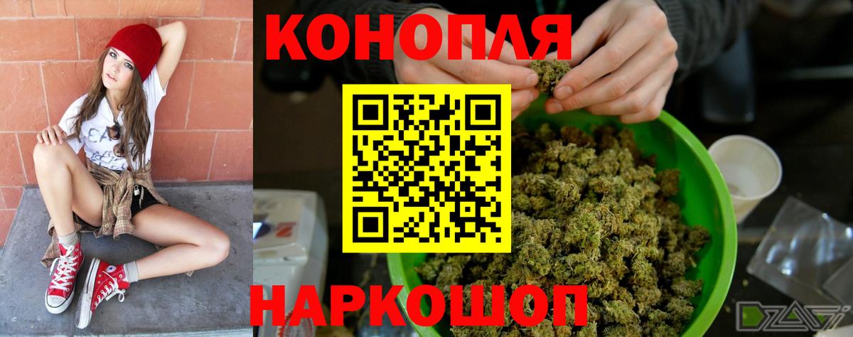 Шишки марихуана семена Кузнецк